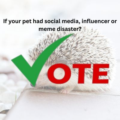 Influencer or meme disaster