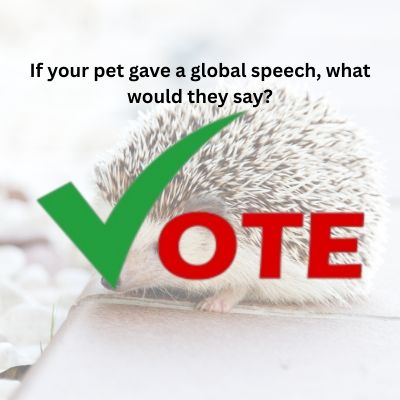 Your Pet gave a global Speech